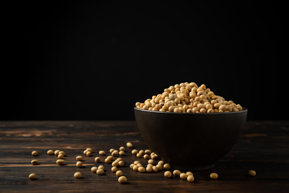 SoyaBean Dark