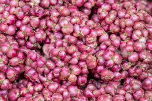 Flavions India: Leading Exporter of Fresh Garwa Onions