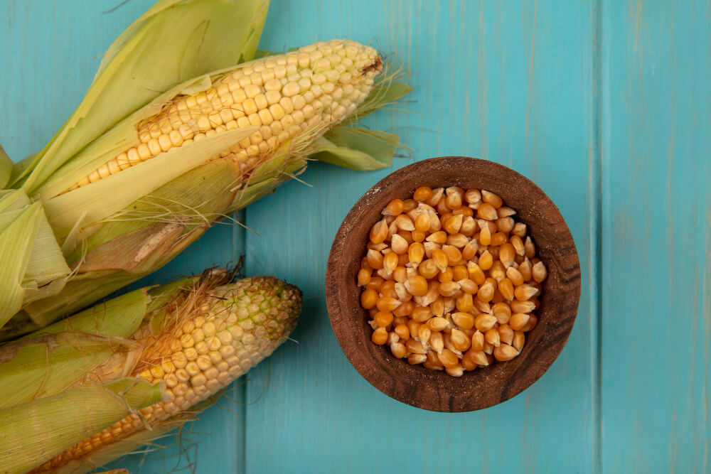 Maize Organic